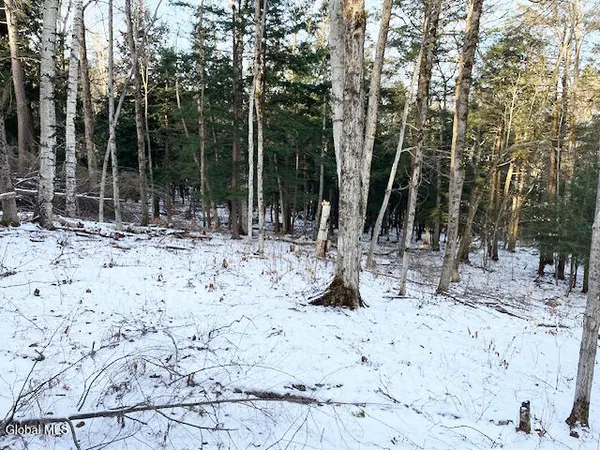 $29,900 | L29 Mountain Crest Road, Warnerville, NY 12187