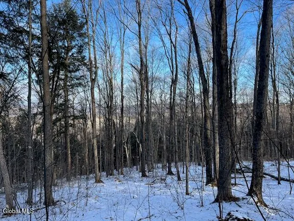 $29,900 | L29 Mountain Crest Road, Warnerville, NY 12187