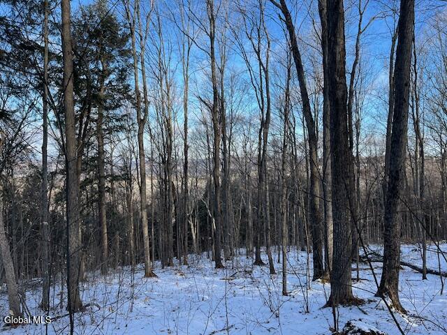 L29 Mountain Crest Road Warnerville, NY 12187 - Photo 3 of 40 IMG_5151