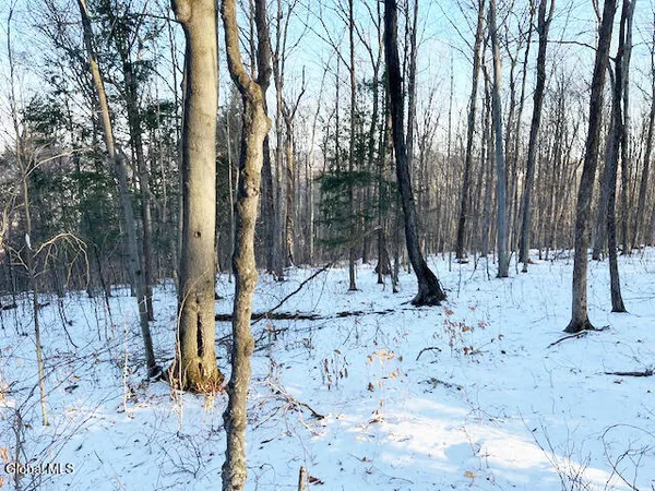 $29,900 | L29 Mountain Crest Road, Warnerville, NY 12187