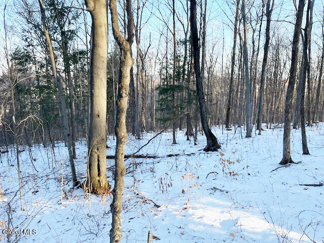 L29 Mountain Crest Road Warnerville, NY 12187 - Photo 31 of 40 IMG_5142 (2)