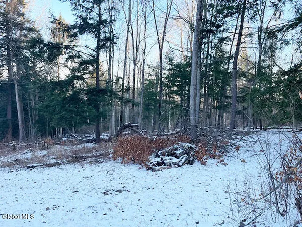 $29,900 | L29 Mountain Crest Road, Warnerville, NY 12187