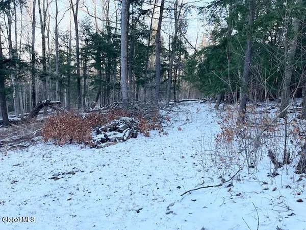 $29,900 | L29 Mountain Crest Road, Warnerville, NY 12187