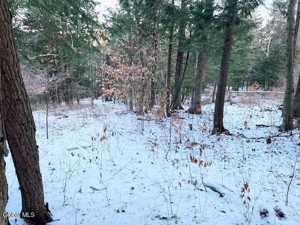 $29,900 | L29 Mountain Crest Road, Warnerville, NY 12187