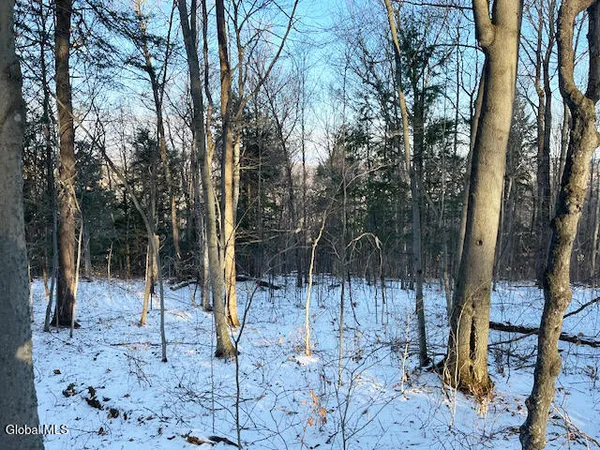 $29,900 | L29 Mountain Crest Road, Warnerville, NY 12187