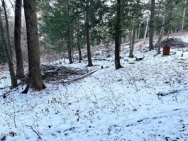 $29,900 | L29 Mountain Crest Road, Warnerville, NY 12187