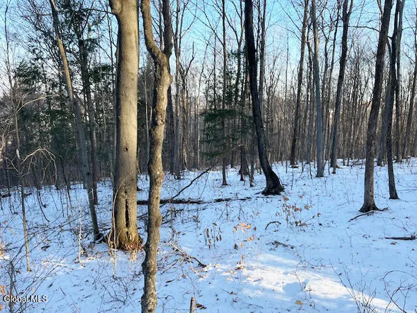 $29,900 | L29 Mountain Crest Road, Warnerville, NY 12187