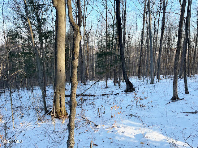 L29 Mountain Crest Road Warnerville, NY 12187 - Photo 39 of 40 IMG_5142-1