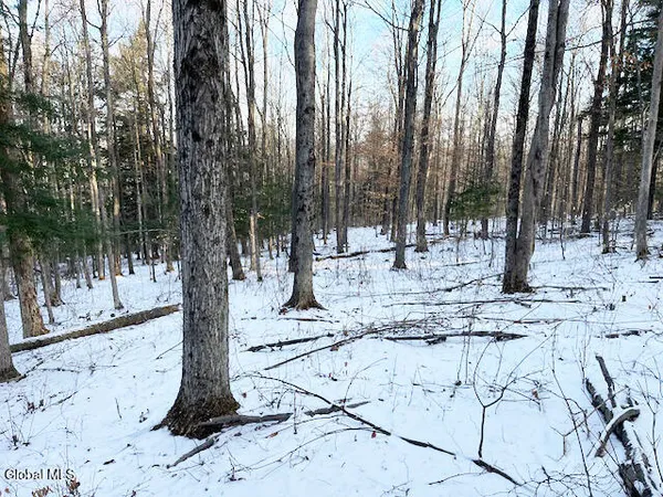 $29,900 | L29 Mountain Crest Road, Warnerville, NY 12187