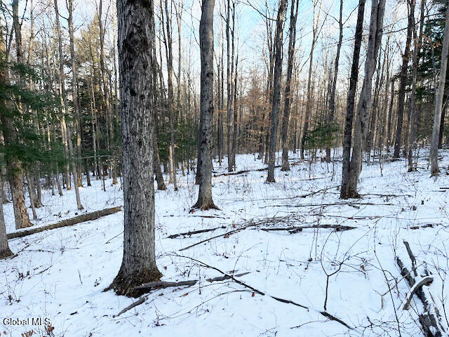 L29 Mountain Crest Road Warnerville, NY 12187 - Photo 40 of 40 IMG_5153 (1)