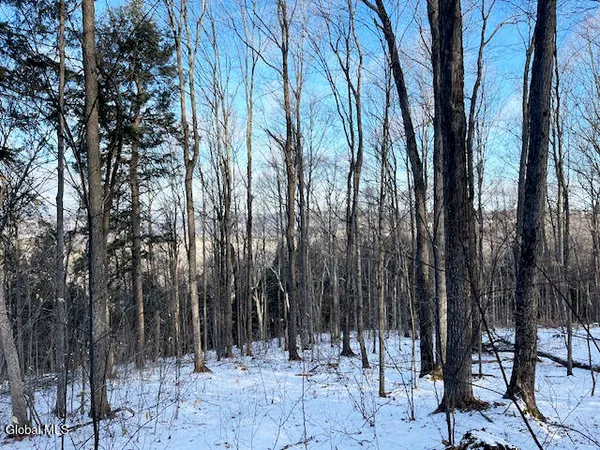 $29,900 | L29 Mountain Crest Road, Warnerville, NY 12187