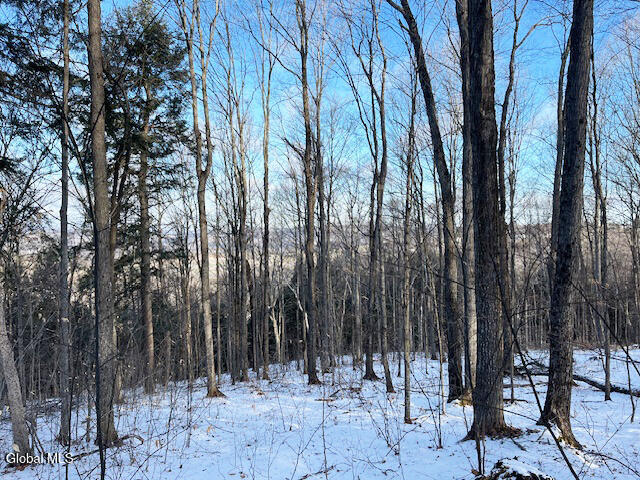 L29 Mountain Crest Road Warnerville, NY 12187 - Photo 4 of 40 IMG_5151 (1)