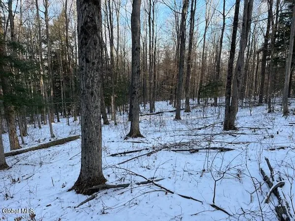 $29,900 | L29 Mountain Crest Road, Warnerville, NY 12187