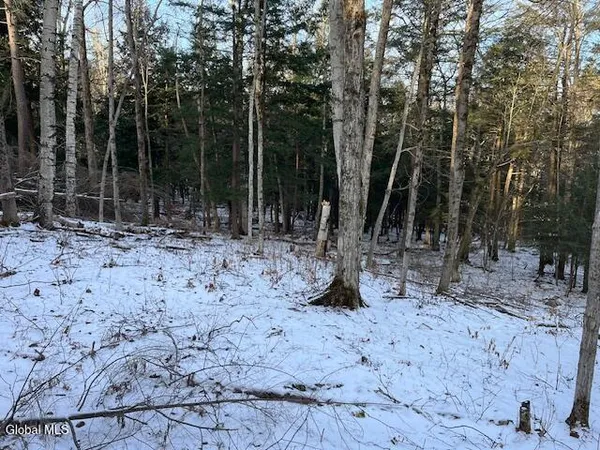 $29,900 | L29 Mountain Crest Road, Warnerville, NY 12187