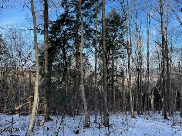 $29,900 | L29 Mountain Crest Road, Warnerville, NY 12187