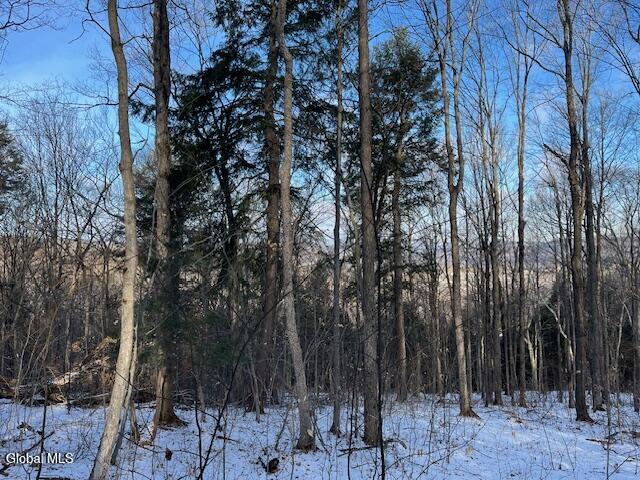 L29 Mountain Crest Road Warnerville, NY 12187 - Photo 7 of 40 IMG_5150