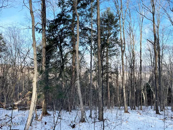 $29,900 | L29 Mountain Crest Road, Warnerville, NY 12187