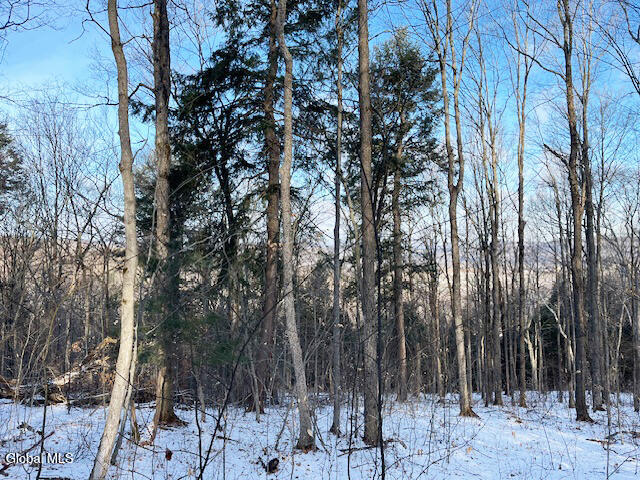 L29 Mountain Crest Road Warnerville, NY 12187 - Photo 8 of 40 IMG_5150 (1)