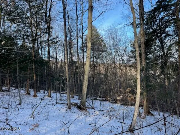 $29,900 | L29 Mountain Crest Road, Warnerville, NY 12187