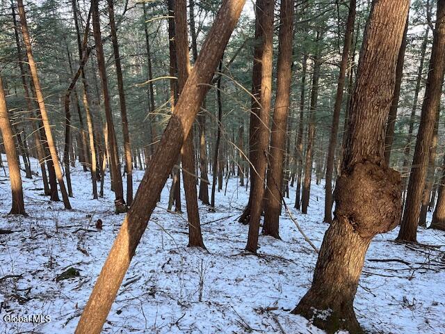 L29 Mountain Crest Road Warnerville, NY 12187 - Photo 10 of 40 IMG_5148