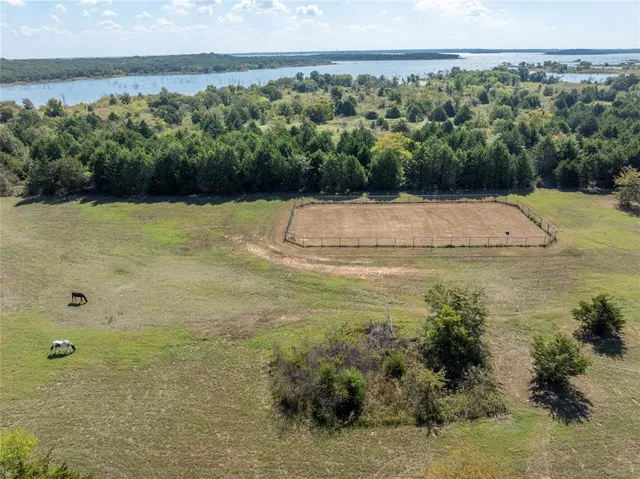 a view of a field with an ocean