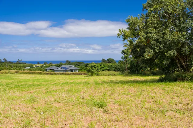 a view of an outdoor space and a yard