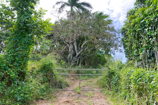 a view of road with backyard