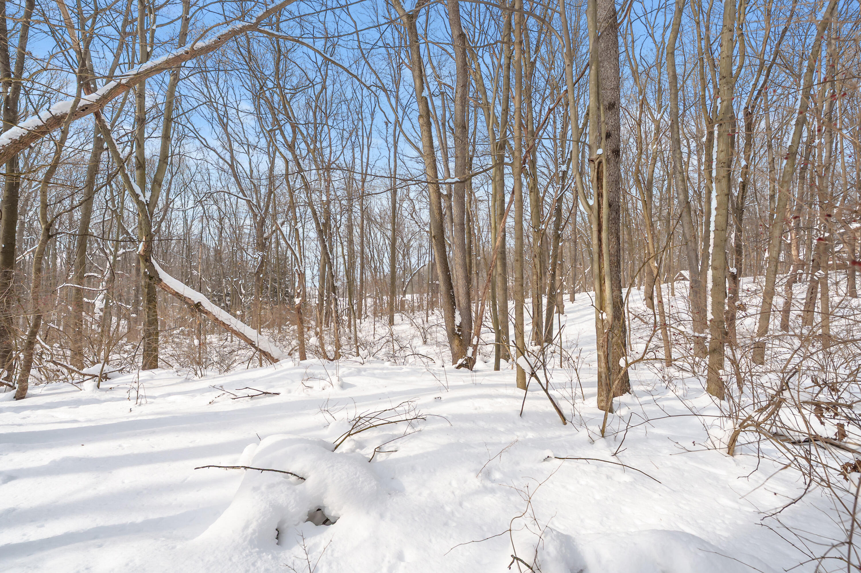 6480 Breezy Point Lane Kalamazoo, MI 49009 - Photo 47 of 54 Breezy Point Ln 6480 Kalamazoo 49009-41