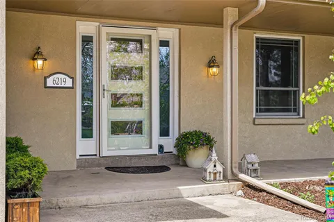 a potted plant sitting in front of a door
