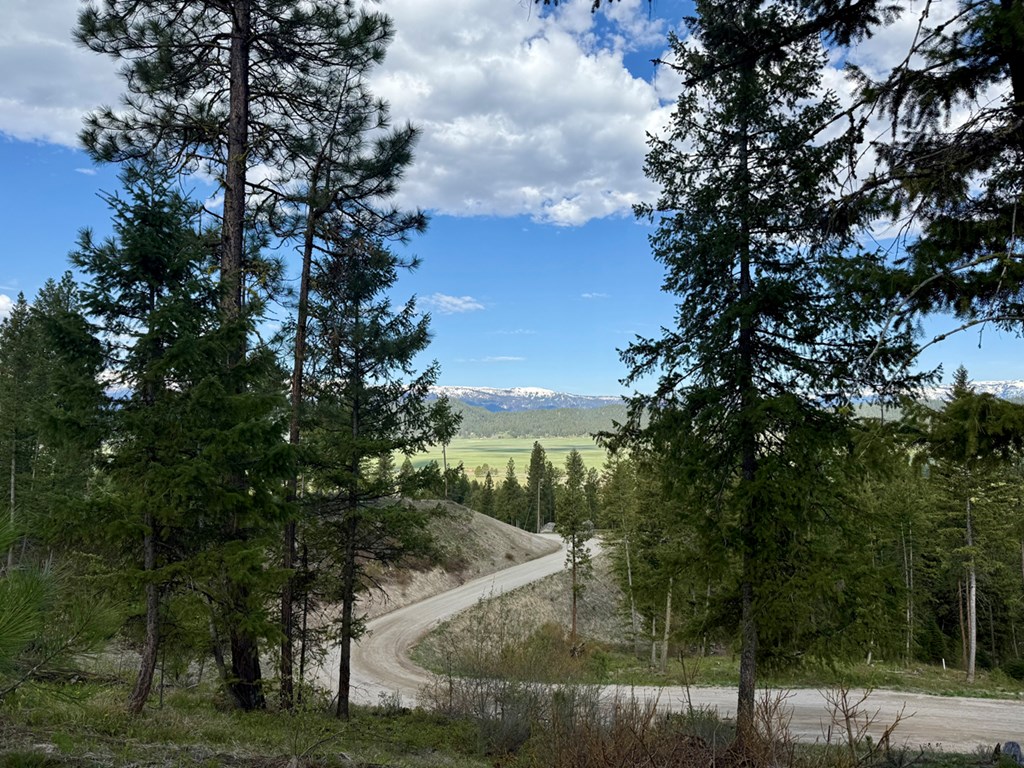 38 San Ignacio Way, Unit 3 Cascade, ID 83611 - Photo 14 of 21 Mature Trees on South End of Lot