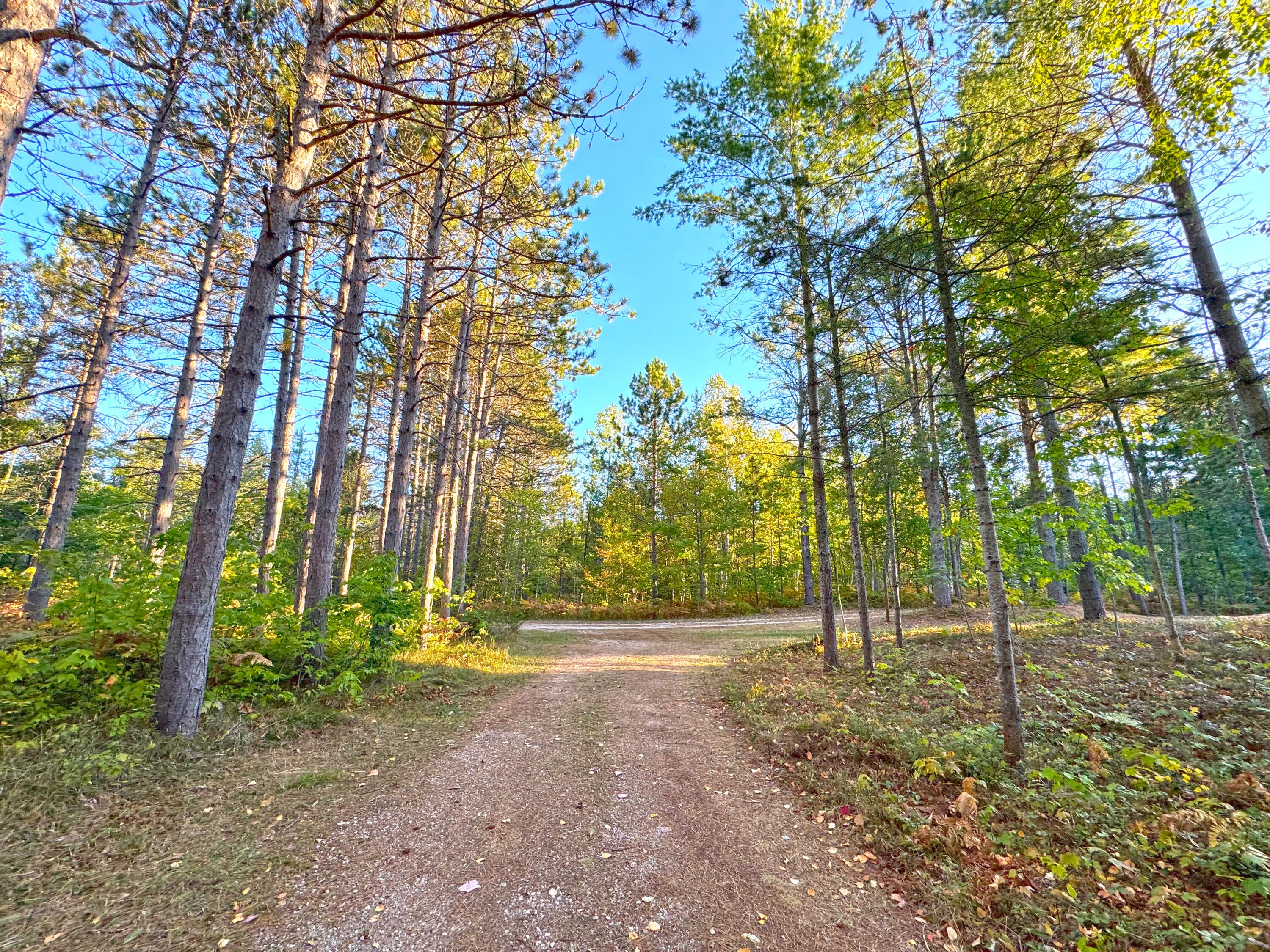 15614 North Whitefish Point Road Paradise, MI 49768 - Photo 99 of 107 Gallery Image 99