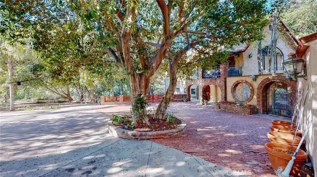 a view of a street with a tree