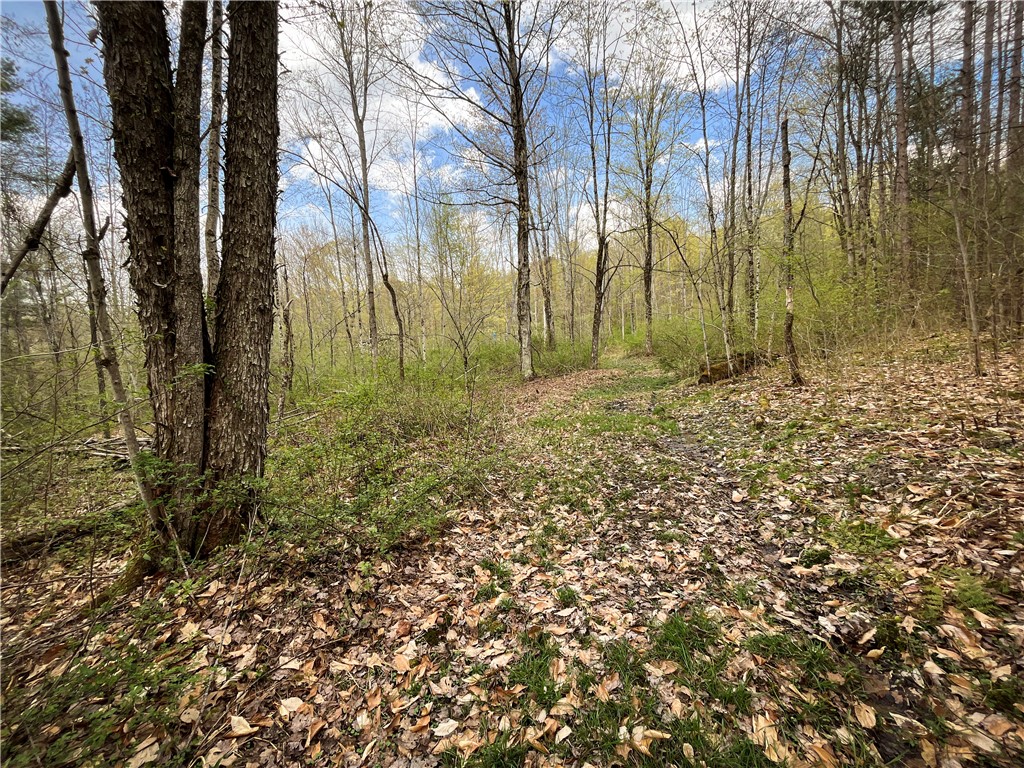 West Creek Road Richford, NY 13835 - Photo 4 of 44
