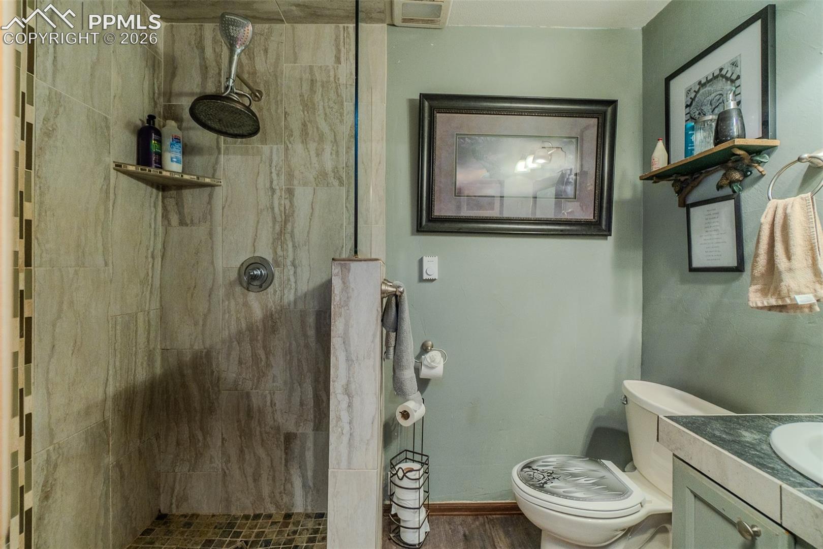 595 High Pasture Road Florissant, CO 80816 - Photo 12 of 24 Gallery Image 12