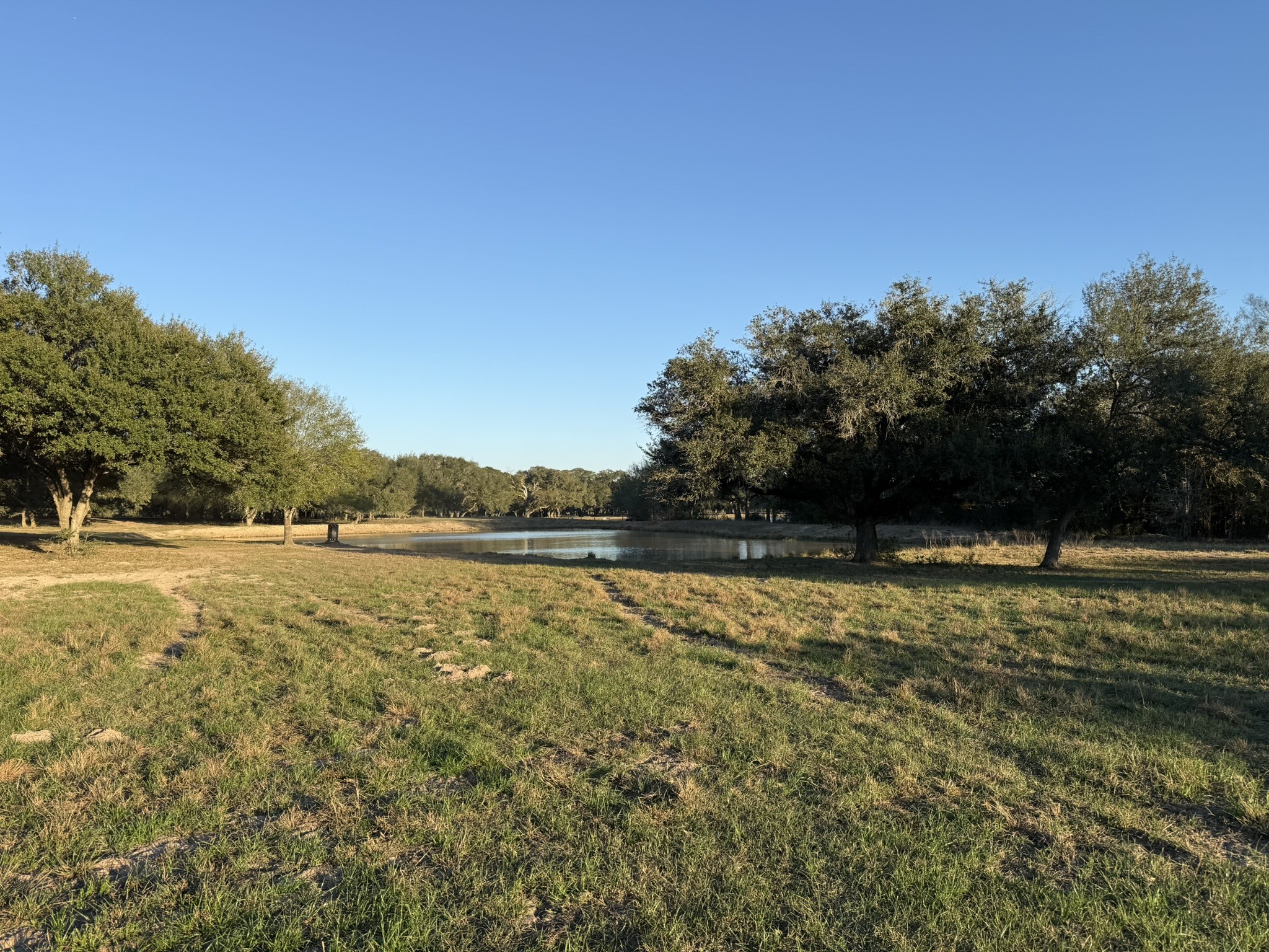 Tbd Rubin Lee Road Cat Spring, TX 78933 - Photo 24 of 47