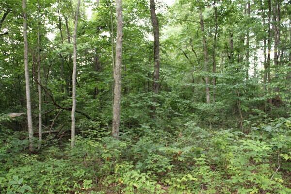 3149 Kidd Road Williamsburg, KY 40769 - Photo 13 of 16 IMG_9380