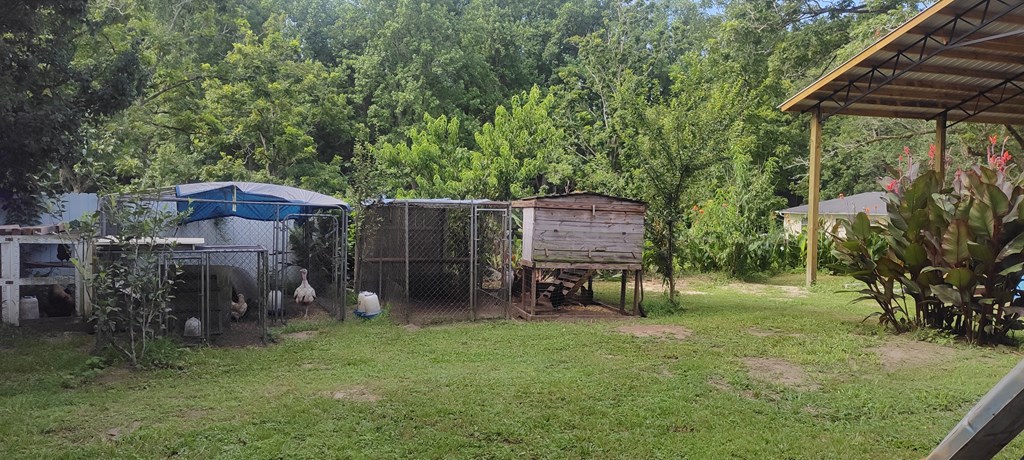 507 West Ewing Street Samson, AL 36477 - Photo 7 of 22 Gallery Image 7