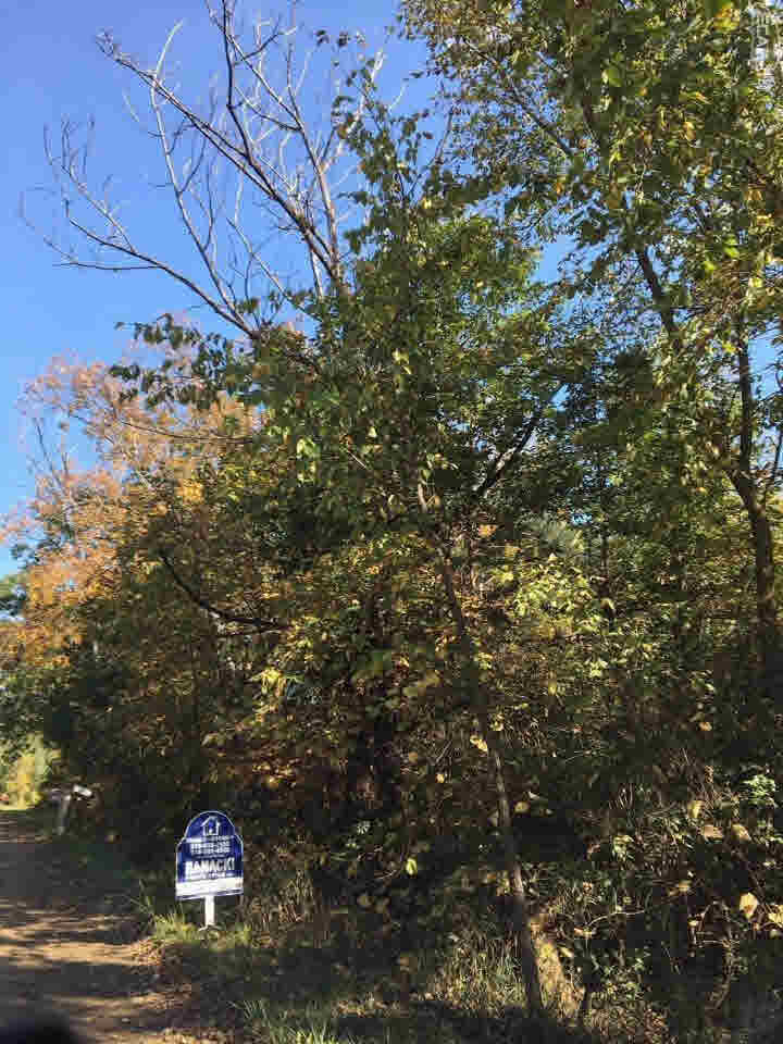 0 West Cook Road Gaines, MI 48436 - Photo 1 of 8