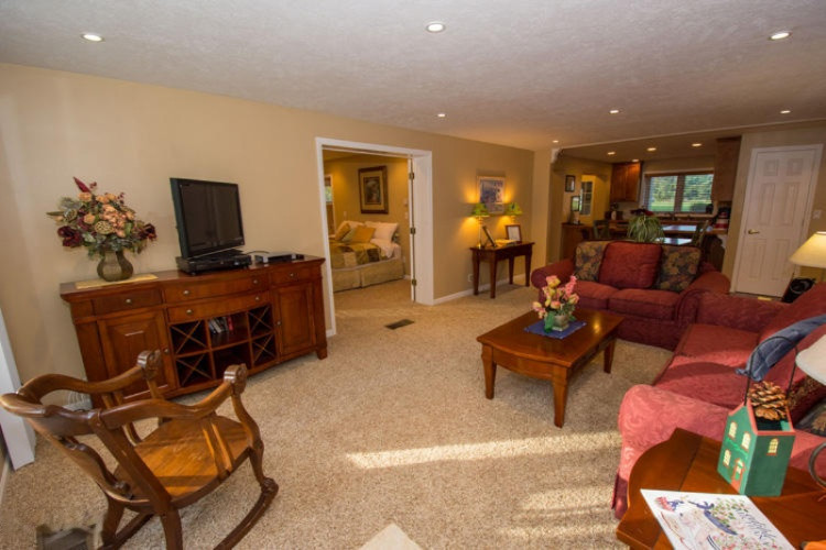 61200 Lenawee Road Cassopolis, MI 49031 - Photo 3 of 59 61200 Lenawee Cass Living room (3)