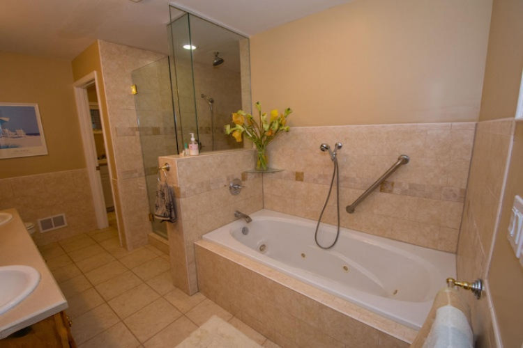 61200 Lenawee Road Cassopolis, MI 49031 - Photo 4 of 59 61200 Lenawee Cass Master bath (4)