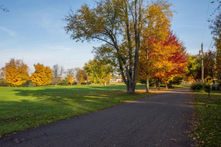 61200 Lenawee Road Cassopolis, MI 49031 - Photo 50 of 59 61200 Lenawee Cass Golf course