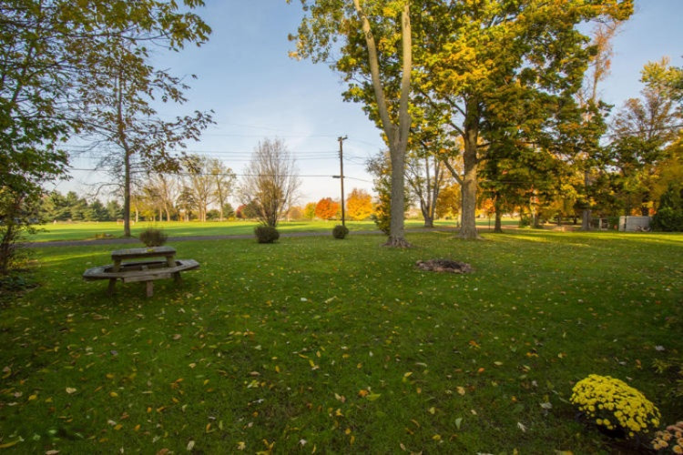 61200 Lenawee Road Cassopolis, MI 49031 - Photo 57 of 59 61200 Lenawee Cass Yard (2)