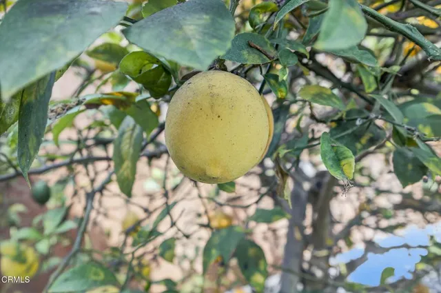 $1,180,000 | 69 South Seaward Avenue, Ventura, CA 93003