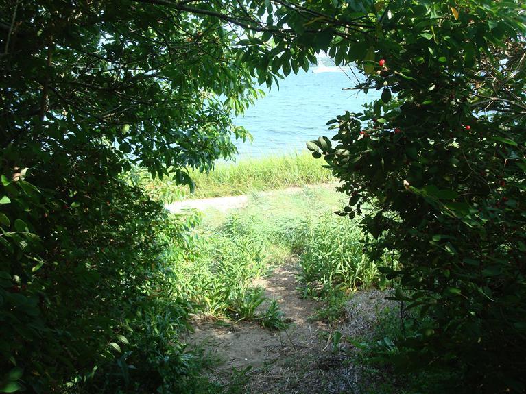 74 Sears Point Road Chatham, MA 02633 - Photo 5 of 16 a view of a garden