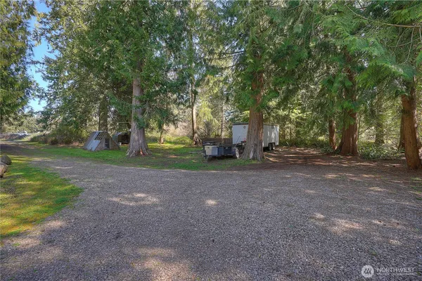 a view of a tree in the middle of a yard