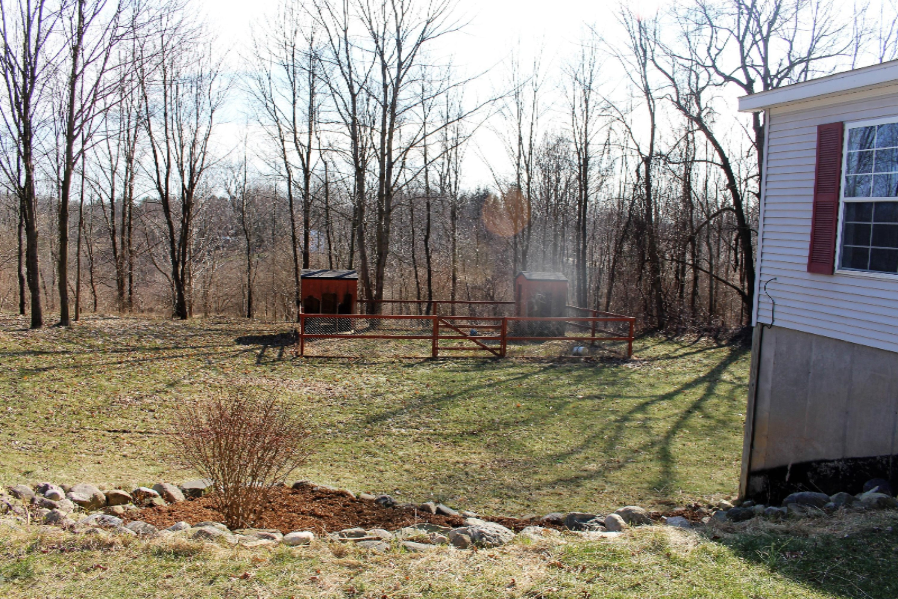 2565 Pinckney Road Saranac, MI 48881 - Photo 3 of 34 IMG_3862