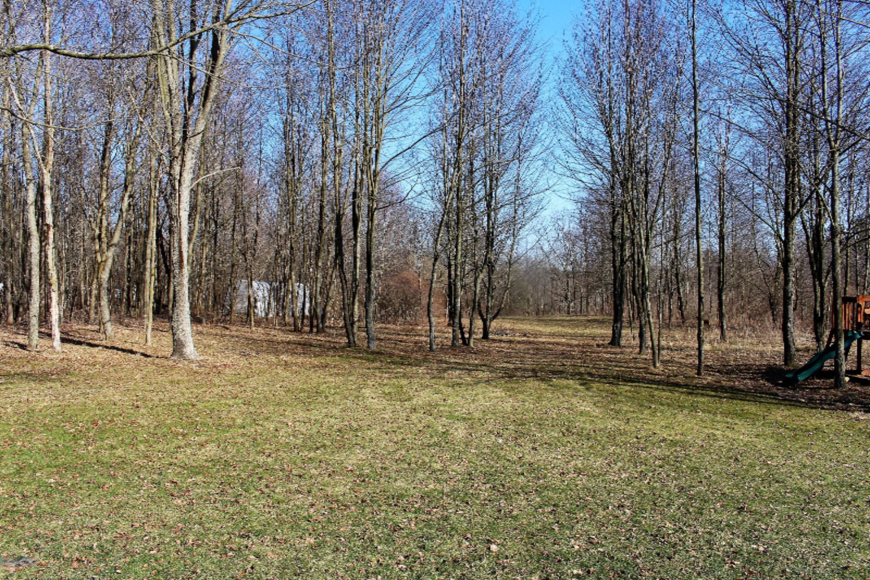 2565 Pinckney Road Saranac, MI 48881 - Photo 4 of 34 IMG_3863