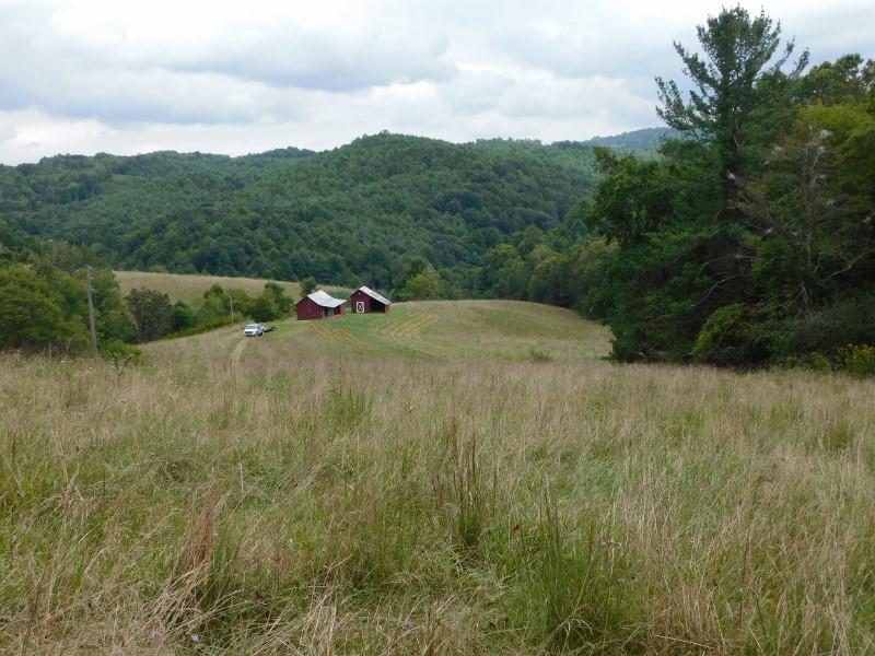 0 Homestead Road Northwest Willis, VA 24380 - Photo 1 of 22 a view of a valley