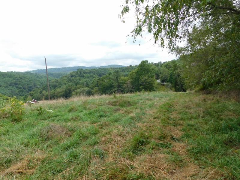 0 Homestead Road Northwest Willis, VA 24380 - Photo 19 of 22 a view of a forest with a tree