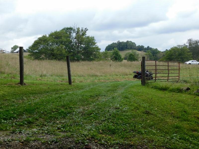 0 Homestead Road Northwest Willis, VA 24380 - Photo 20 of 22 a view of a green field with lots of green space
